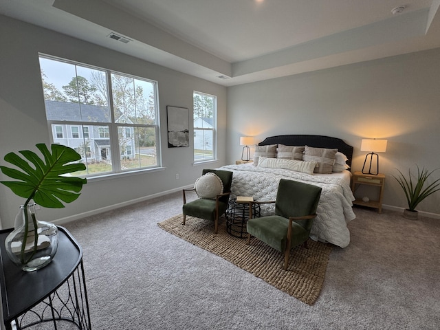 131 Brown Swiss Cir, Summerville, SC 29483 - bedroom featuring carpet flooring, visible vents, baseboards, and a raised ceiling