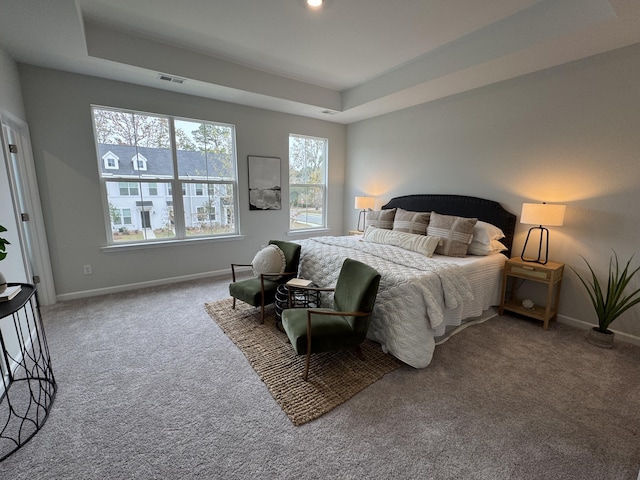 131 Brown Swiss Cir, Summerville, SC 29483 - bedroom featuring a raised ceiling, carpet flooring, baseboards, and visible vents