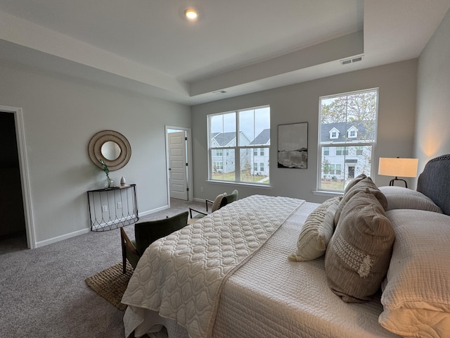 131 Brown Swiss Cir, Summerville, SC 29483 - carpeted bedroom featuring visible vents, baseboards, and a tray ceiling