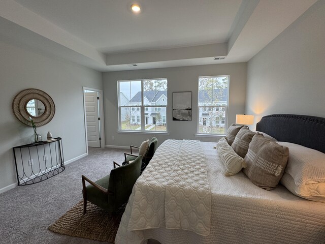 131 Brown Swiss Cir, Summerville, SC 29483 - bedroom with a raised ceiling, multiple windows, baseboards, and carpet floors