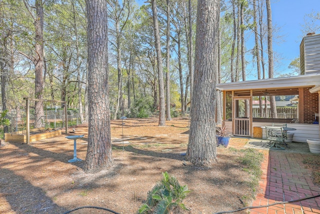 view of yard with a sunroom, a patio, and a garden