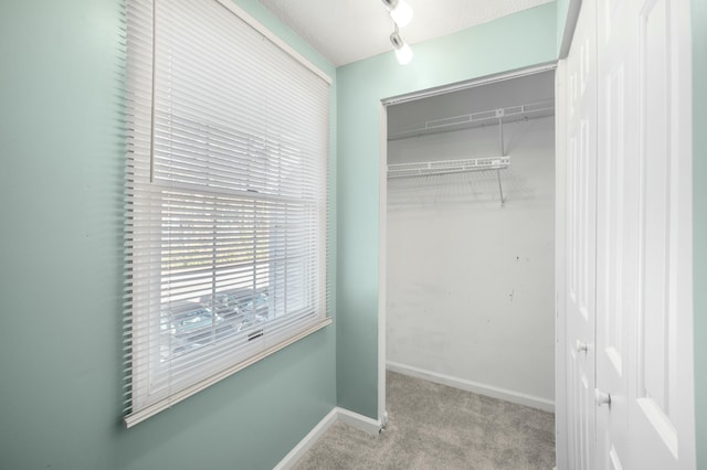 1101 Reserve Way, Summerville, SC 29485 - walk in closet featuring light colored carpet