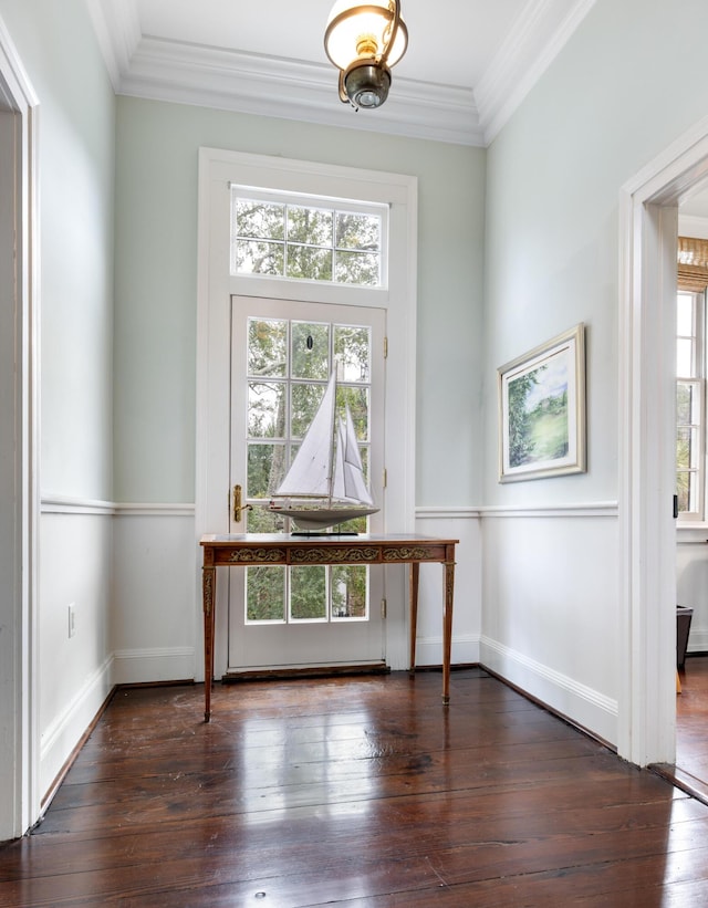 unfurnished office with crown molding and dark hardwood / wood-style flooring