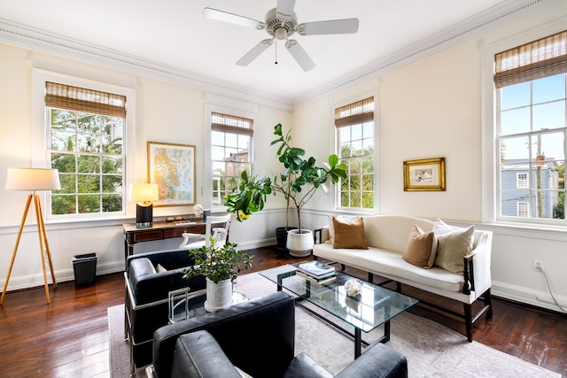 living room with ornamental molding, ceiling fan, plenty of natural light, and dark hardwood / wood-style floors