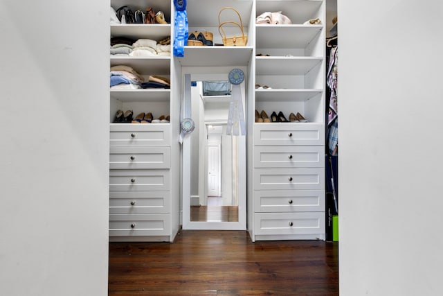 spacious closet with dark hardwood / wood-style flooring