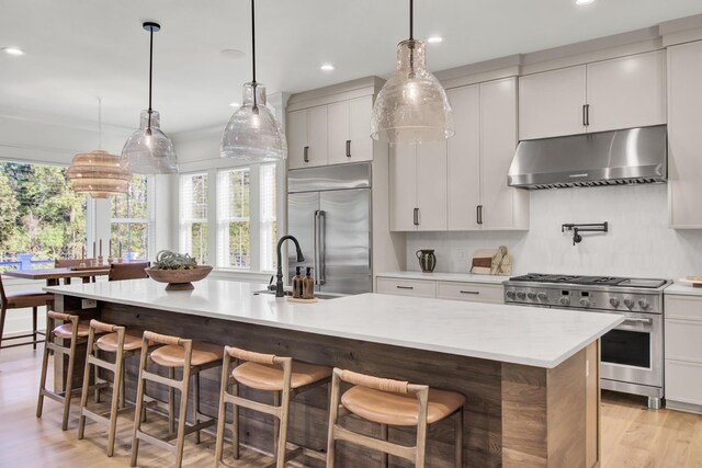kitchen featuring light countertops, plenty of natural light, under cabinet range hood, and premium appliances