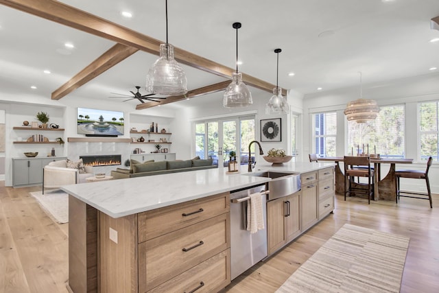 kitchen with light wood finished floors, a sink, a wealth of natural light, and dishwasher