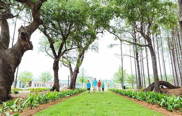 view of home's community featuring a lawn