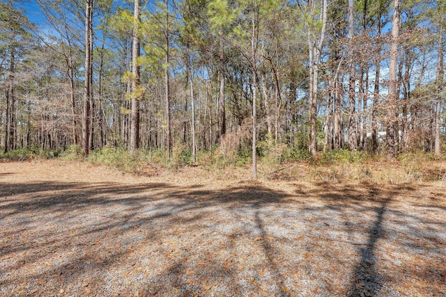 Listing photo 2 for 1010 Towhee Ln, Mcclellanville SC 29458