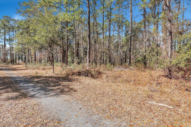 Listing photo 3 for 1010 Towhee Ln, Mcclellanville SC 29458