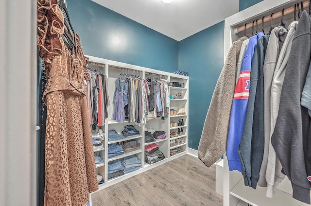 spacious closet featuring wood finished floors