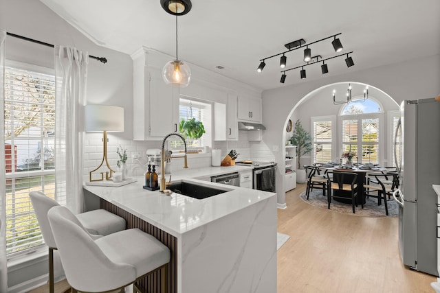 kitchen featuring light wood finished floors, under cabinet range hood, decorative backsplash, stainless steel appliances, and a sink