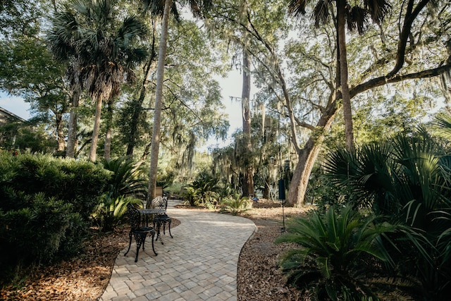 2860 Old Drake Dr, Johns Island, SC 29455 - view of property's community with a patio area