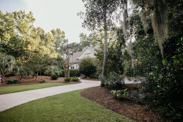 2860 Old Drake Dr, Johns Island, SC 29455 - view of home's community featuring a lawn