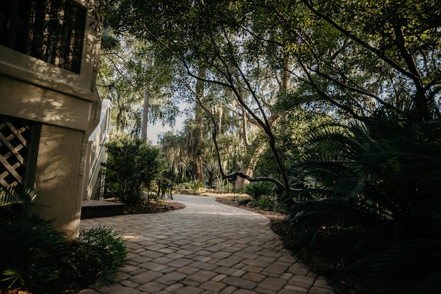 2860 Old Drake Dr, Johns Island, SC 29455 - view of surrounding community