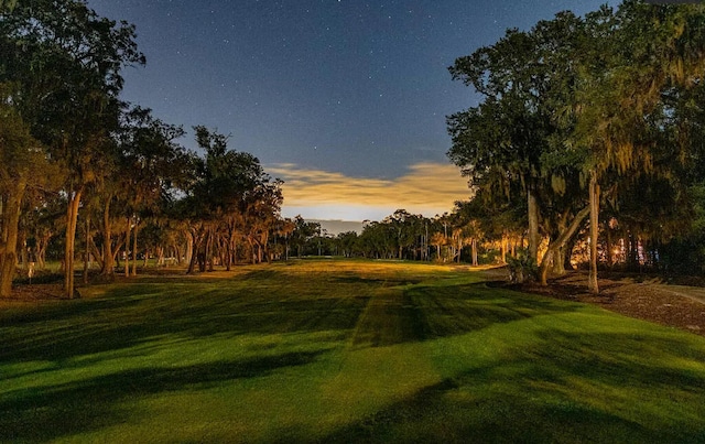 2860 Old Drake Dr, Johns Island, SC 29455 - view of yard at dusk