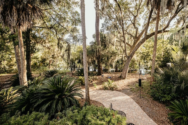 2860 Old Drake Dr, Johns Island, SC 29455 - view of home's community