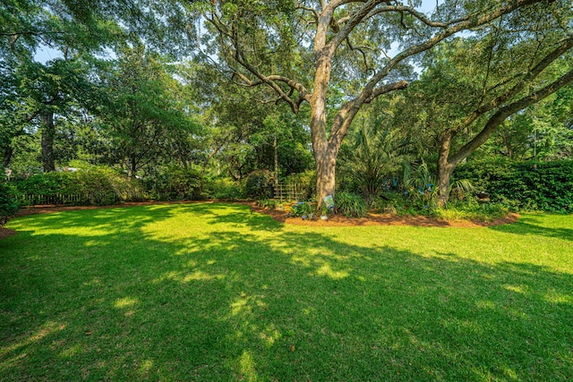 802 Robert E Lee Blvd, Charleston, SC 29412 - view of grassy yard