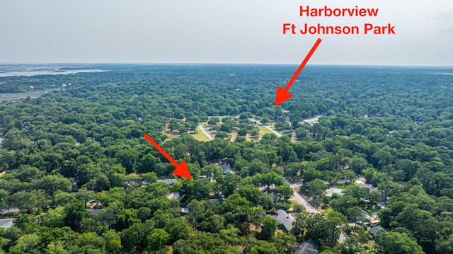 802 Robert E Lee Blvd, Charleston, SC 29412 - aerial view of property's location with a heavily wooded area