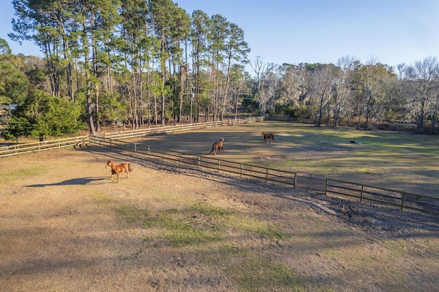 view of yard with a rural view