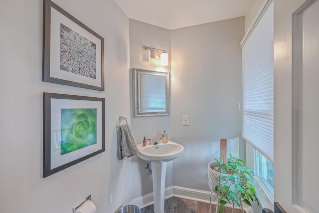 bathroom with wood-type flooring