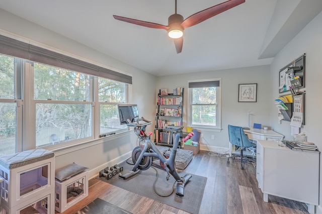 workout area with hardwood / wood-style flooring, a healthy amount of sunlight, and ceiling fan