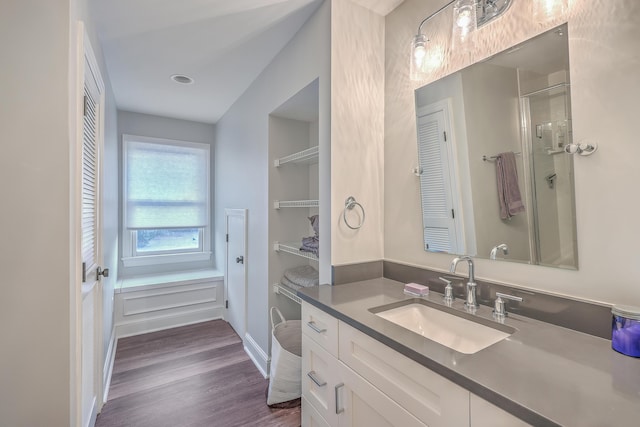 bathroom with vanity and wood-type flooring