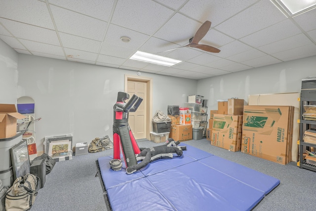 exercise room featuring ceiling fan, carpet floors, and a drop ceiling