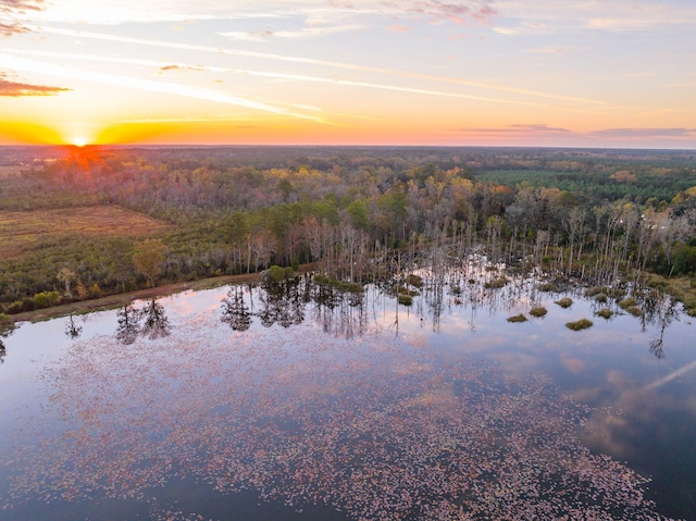 birds eye view of property with a forest view and a water view