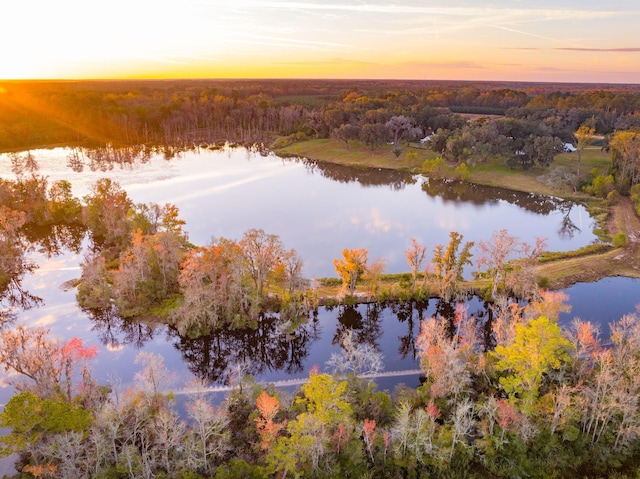 drone / aerial view featuring a view of trees and a water view