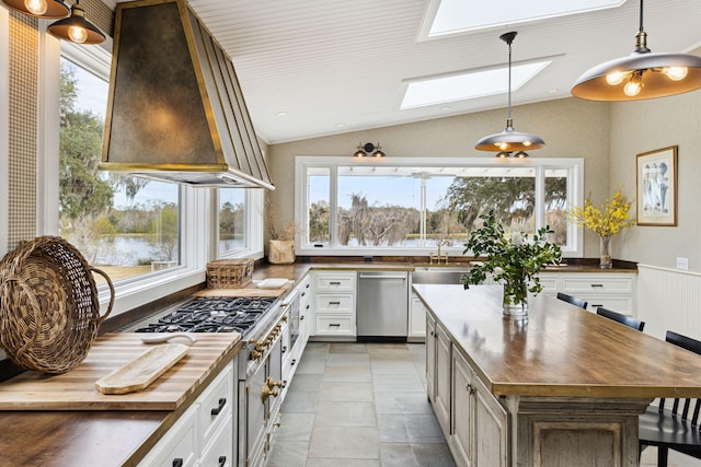 kitchen featuring lofted ceiling with skylight, dishwasher, a wealth of natural light, and wooden counters