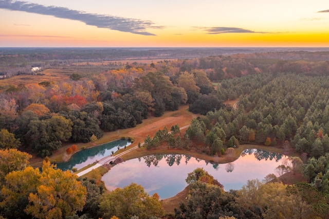 drone / aerial view featuring a wooded view and a water view