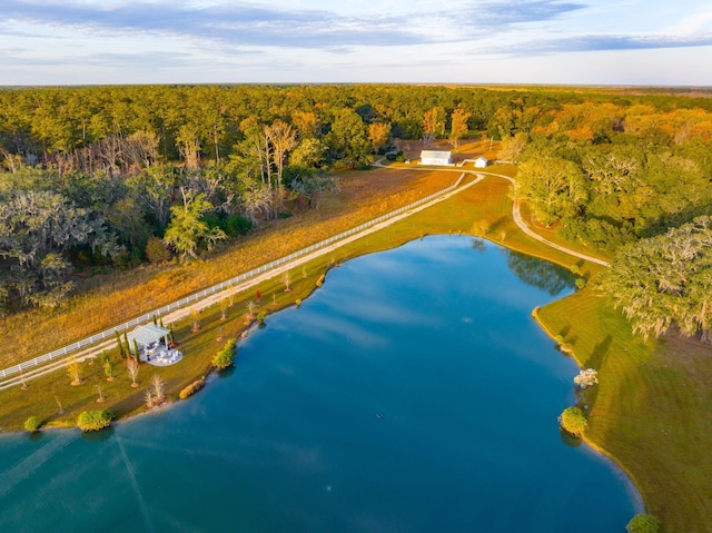 bird's eye view with a view of trees and a water view