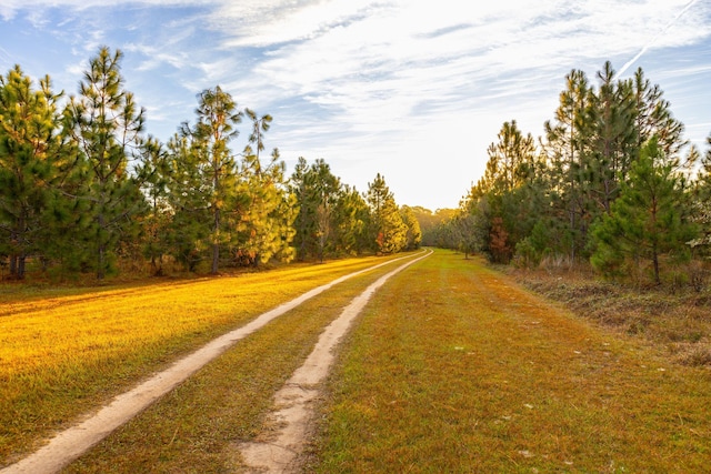 view of road featuring a view of trees