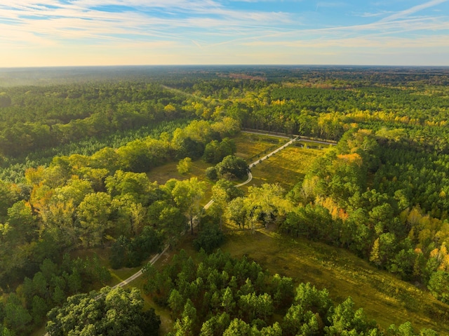 drone / aerial view with a view of trees