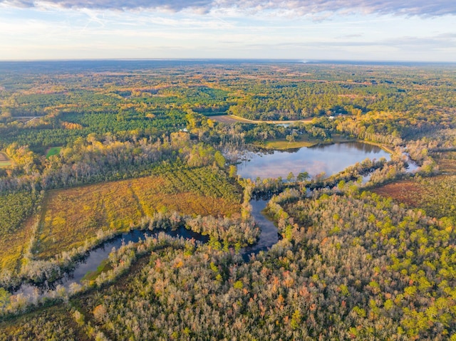 aerial view with a wooded view and a water view