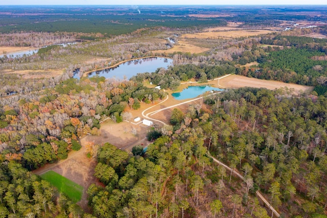 bird's eye view with a view of trees and a water view