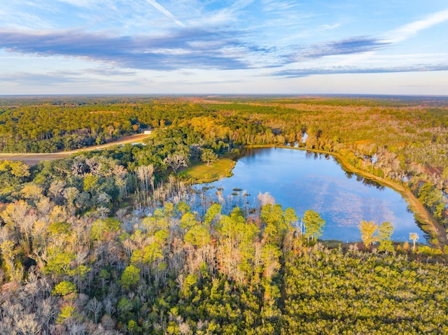 bird's eye view featuring a view of trees and a water view