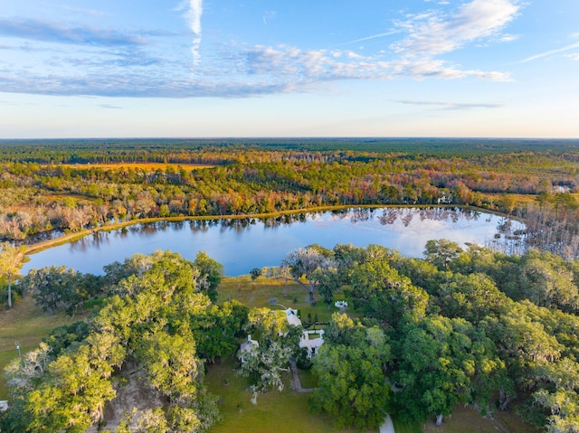 aerial view featuring a water view and a wooded view
