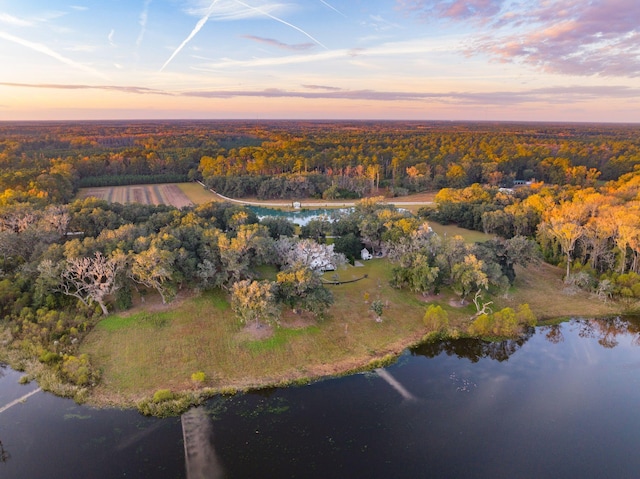 drone / aerial view featuring a forest view and a water view