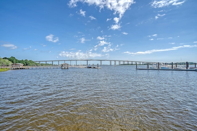 130 River Landing Dr Unit 5108, Charleston, SC 29492 - dock featuring a water view