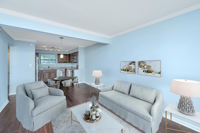 living room featuring a textured ceiling, sink, dark hardwood / wood-style flooring, and ornamental molding