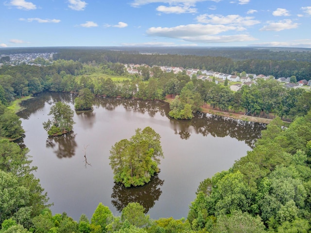 520 Crossland Dr, Moncks Corner, SC 29461 - bird's eye view of a large body of water and a heavily wooded area