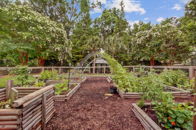 520 Crossland Dr, Moncks Corner, SC 29461 - view of yard with a vegetable garden