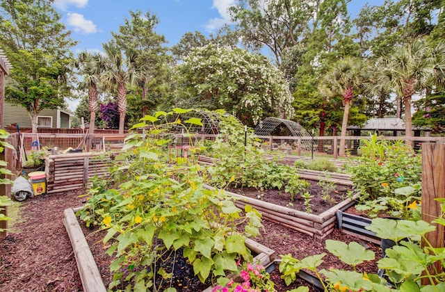520 Crossland Dr, Moncks Corner, SC 29461 - view of yard with a vegetable garden