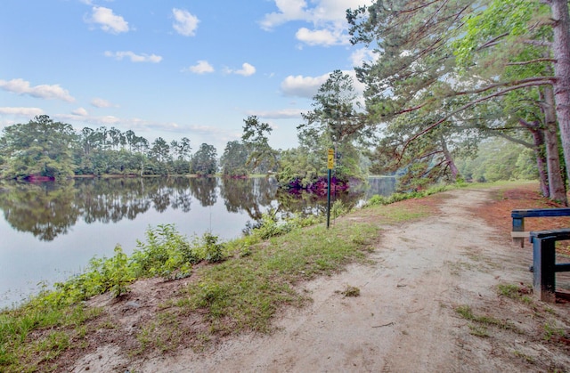 520 Crossland Dr, Moncks Corner, SC 29461 - water view