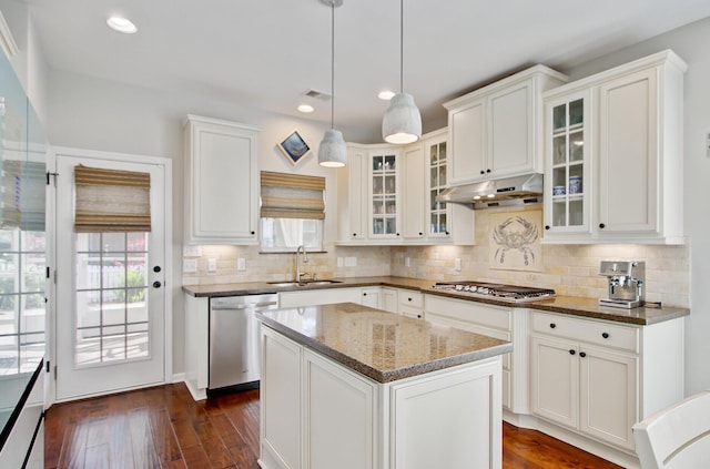 kitchen with under cabinet range hood, appliances with stainless steel finishes, dark wood-style floors, and a sink