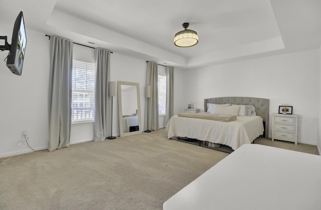 117 Red Leaf Blvd, Moncks Corner, SC 29461 - bedroom featuring a tray ceiling, carpet, and baseboards