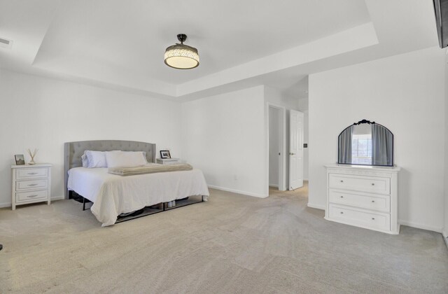 117 Red Leaf Blvd, Moncks Corner, SC 29461 - bedroom featuring a raised ceiling, carpet, and baseboards