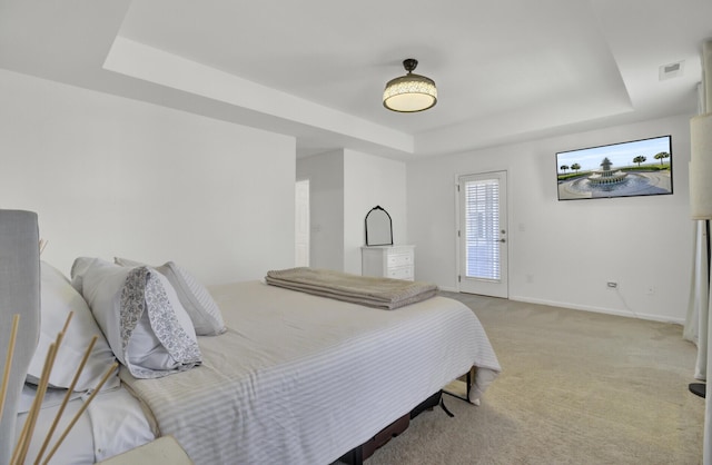 117 Red Leaf Blvd, Moncks Corner, SC 29461 - bedroom with a raised ceiling, baseboards, and light carpet